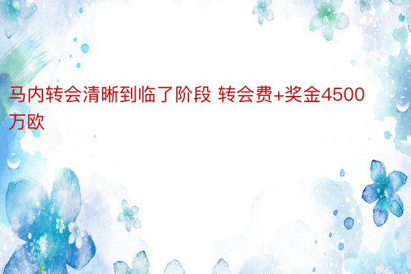 马内转会清晰到临了阶段 转会费+奖金4500万欧