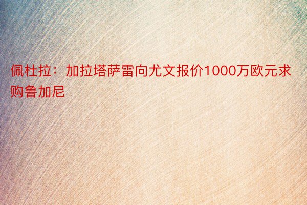 佩杜拉：加拉塔萨雷向尤文报价1000万欧元求购鲁加尼