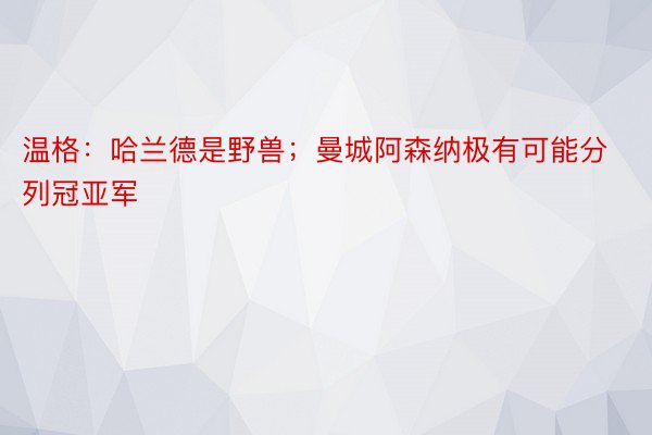 温格：哈兰德是野兽；曼城阿森纳极有可能分列冠亚军