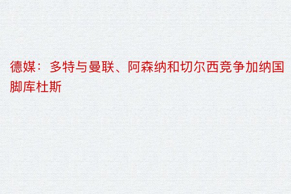 德媒：多特与曼联、阿森纳和切尔西竞争加纳国脚库杜斯